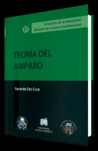 TEORÍA DEL AMPARO..
